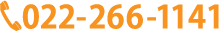 TEL22-266-1141